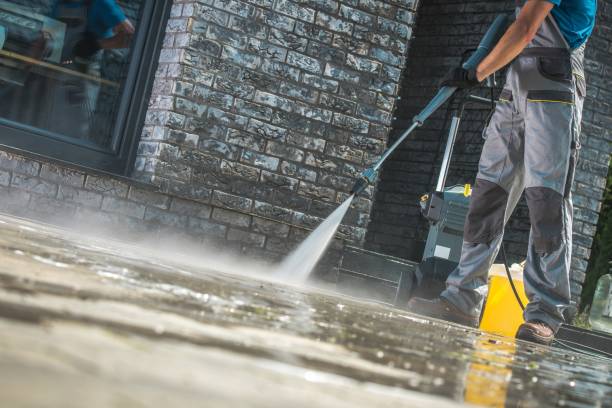 Professional Pressure Washing in Dortches, NC