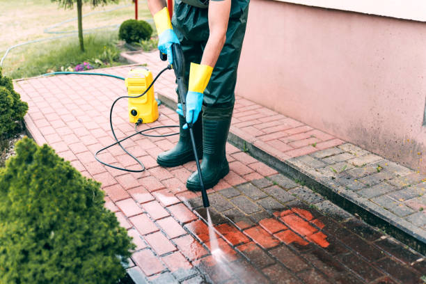Best Roof Washing  in Dortches, NC