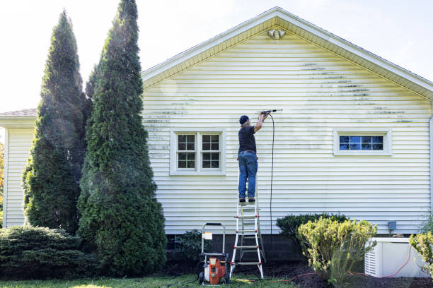 Best Solar Panel Cleaning  in Dortches, NC